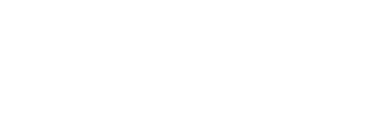 OPTIMAX3