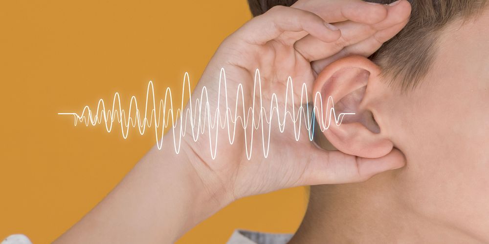 Fisiologia de l’oïda